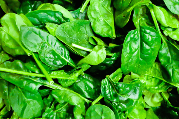 Spinach Recipes from the Bariatric Surgery Team