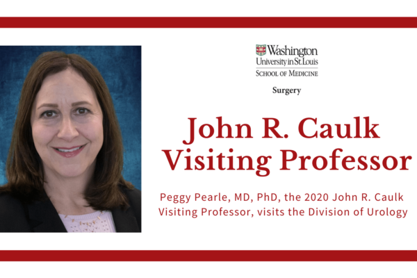 John R. Caulk Visiting Professorship 2020
