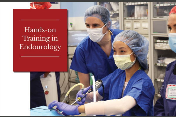 Hands-on Training in Endourology