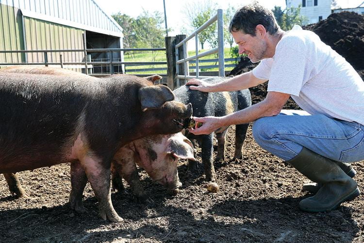 Bryan Meyers, a thoracic surgeon at Washington University and Barnes-Jewish Hospital, exchanges scrubs for rubber boots while greeting one of his Berkshire pigs at Three Spring Farms.