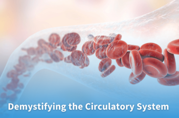 Blood cells circulating through a vessel