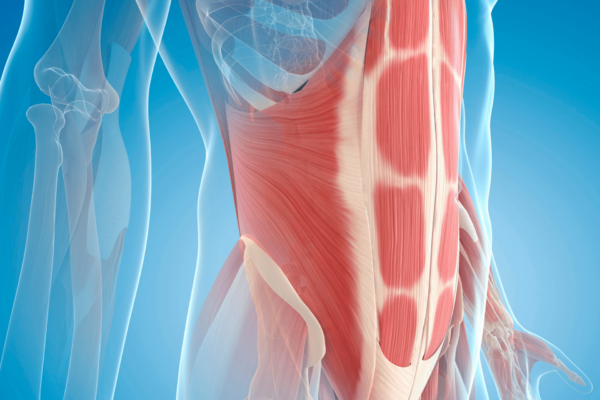Are Hernia Belts Effective?