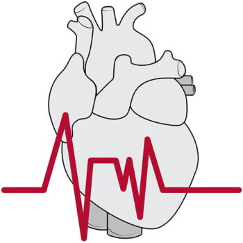 Section of Cardiac Surgery