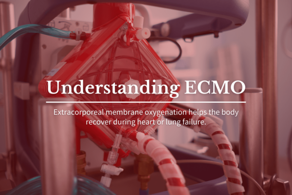 Understanding ECMO