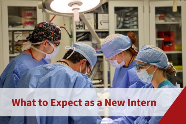What to Expect as a New Intern 
