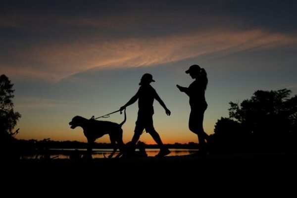 Lower Your Cancer Risk With Just Four Minutes of Exercise