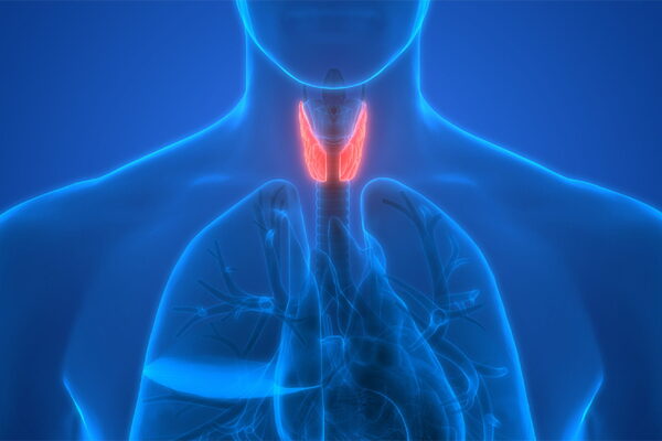 Uncovering Differences in Isthmic and Lobar Thyroid Nodules and Thyroid Cancer