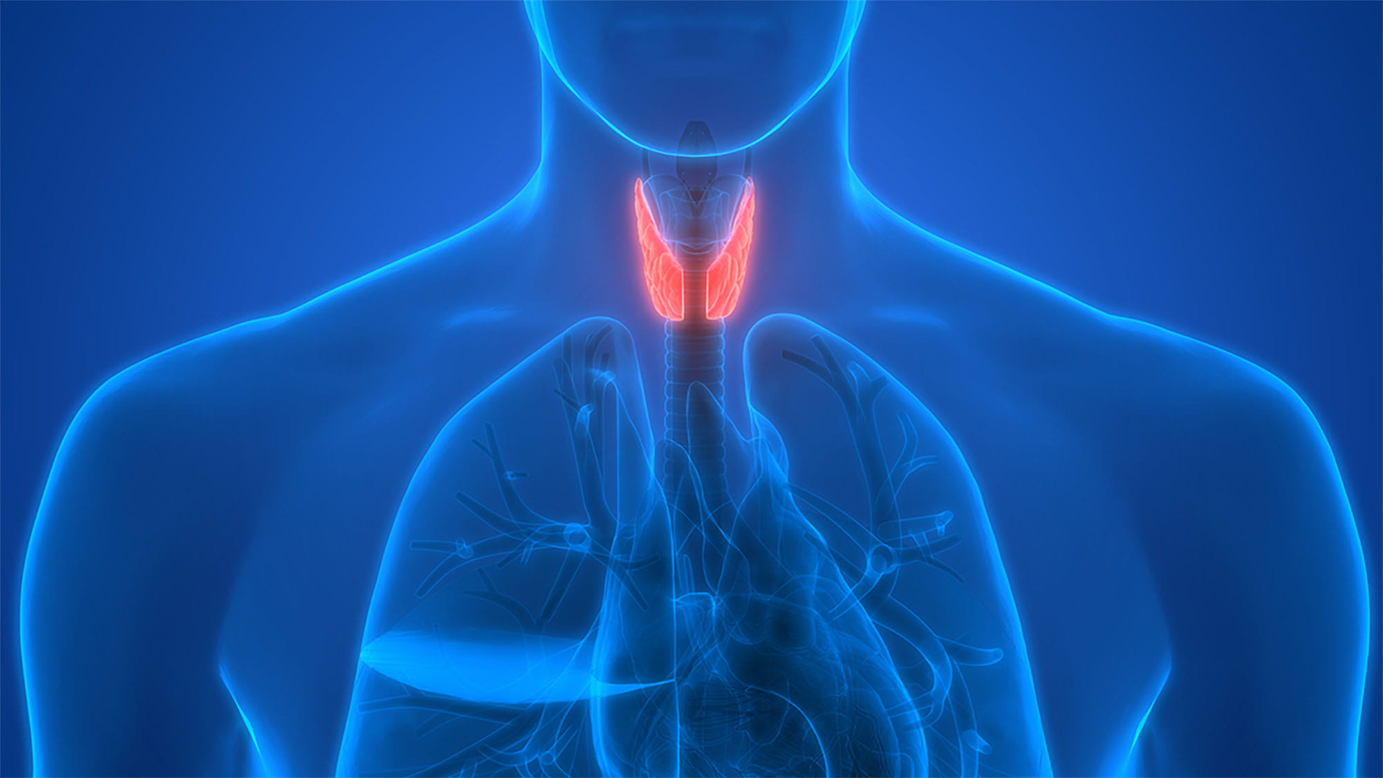 Uncovering Differences in Isthmic and Lobar Thyroid Nodules and Thyroid Cancer