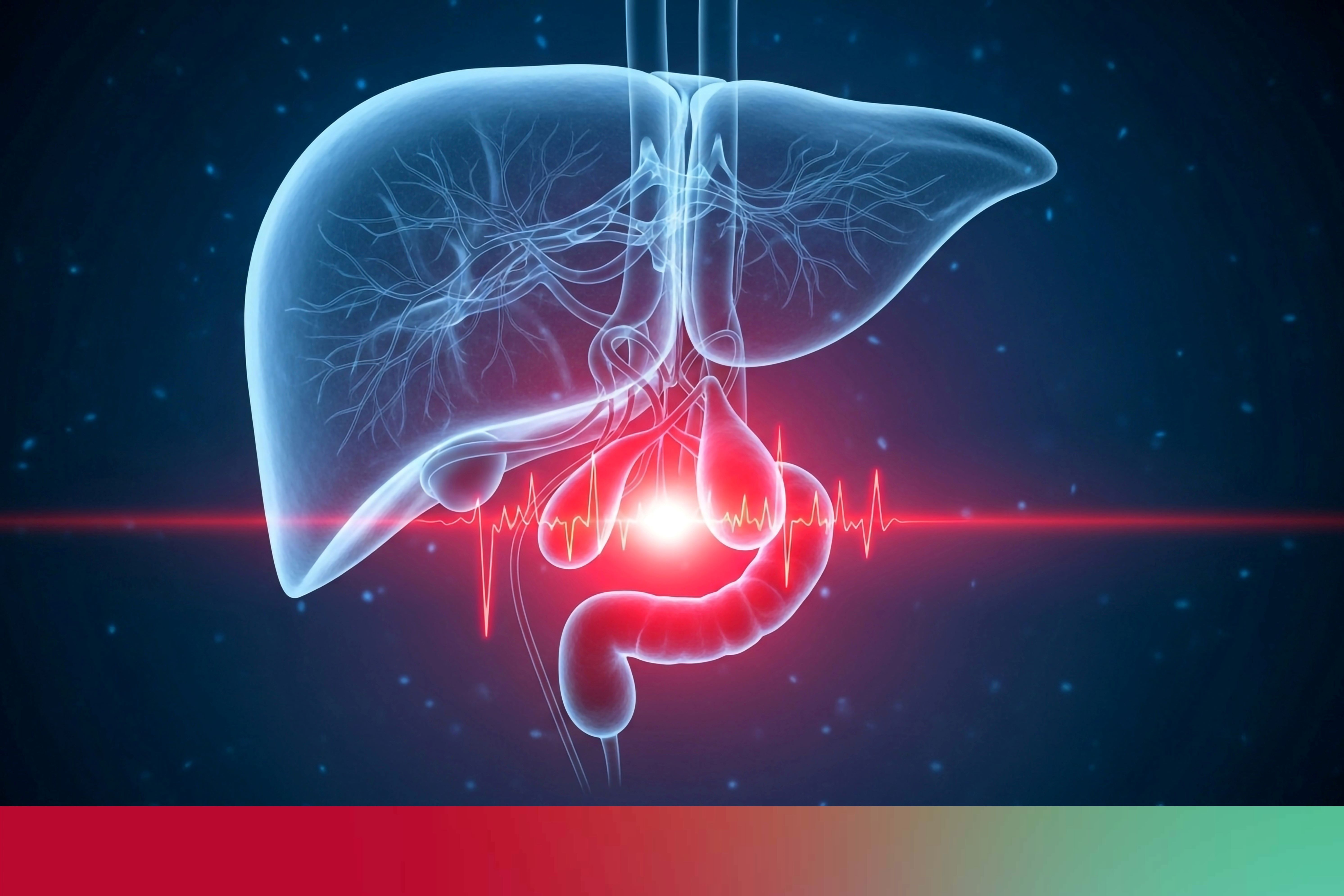 What are bile ducts?