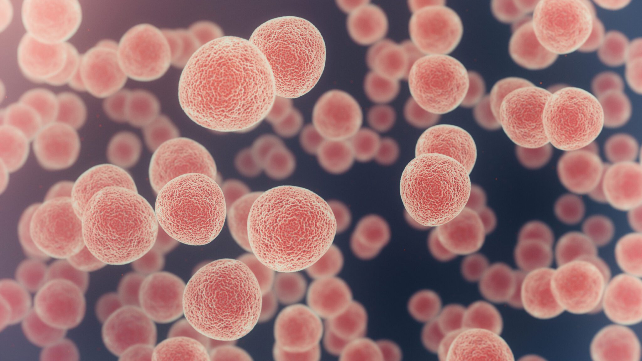 Siteman Investment Program Awards $2.44 Million for Cancer Research