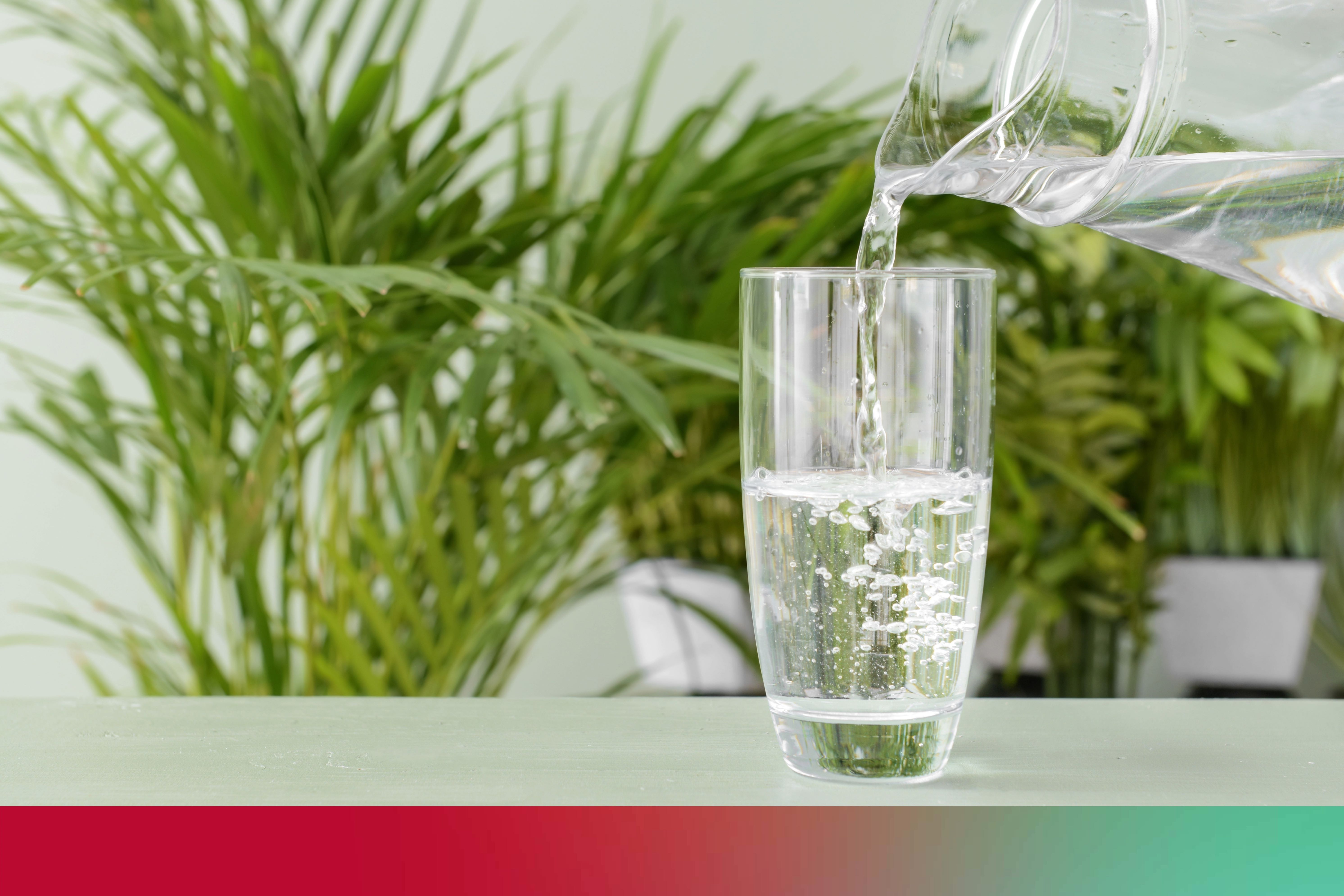 Hydration and kidney function