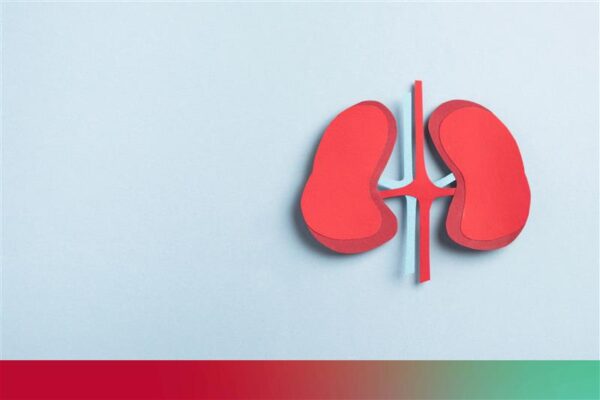 Kidney health problems: Causes, signs and prevention 