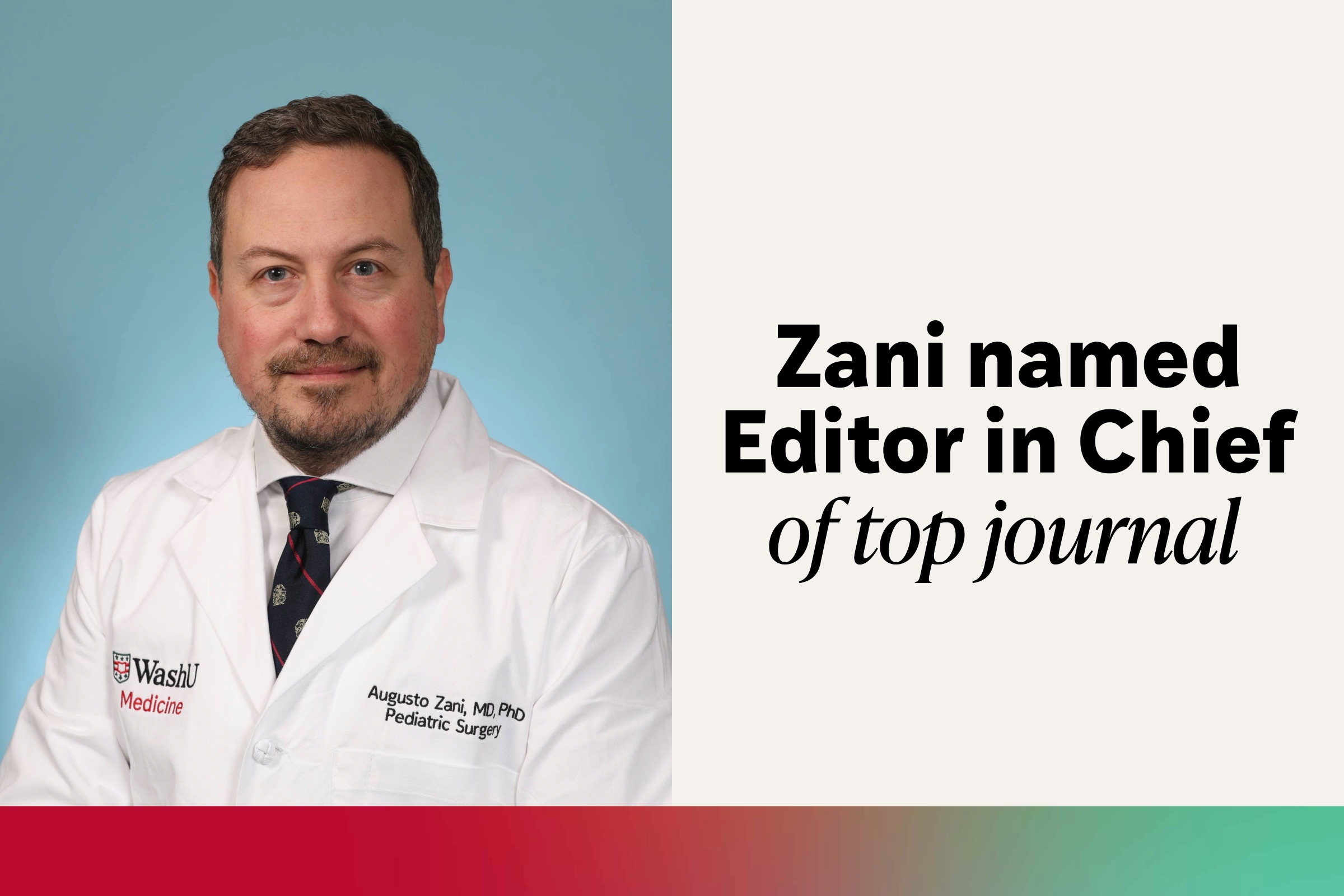 Zani named Editor in Chief of top pediatric surgery journal
