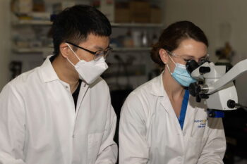Yong-Hyun Han, PhD, and Emily Onufer, MD, work in the surgical suite.